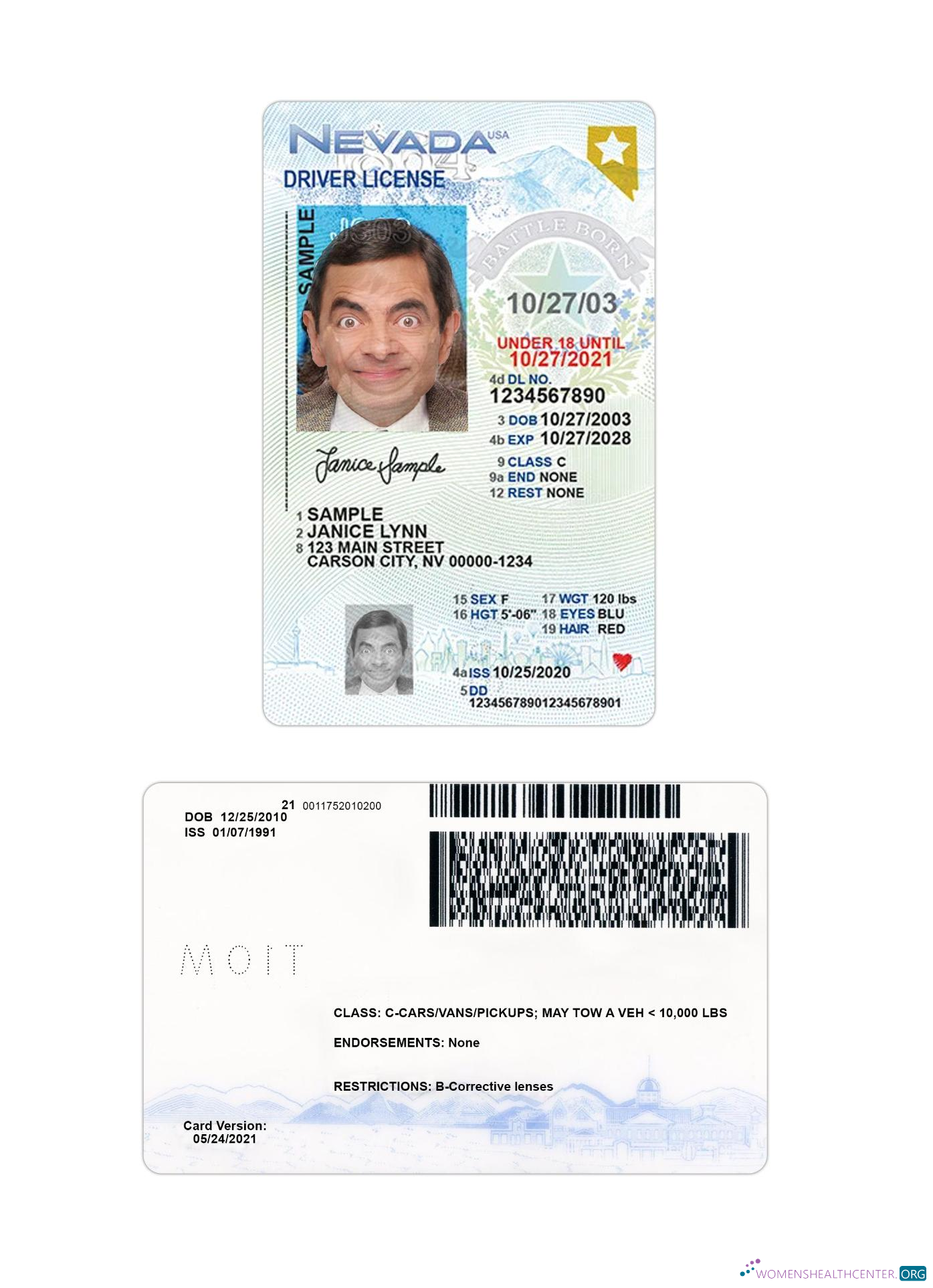 download USA Nevada under 21 driving license